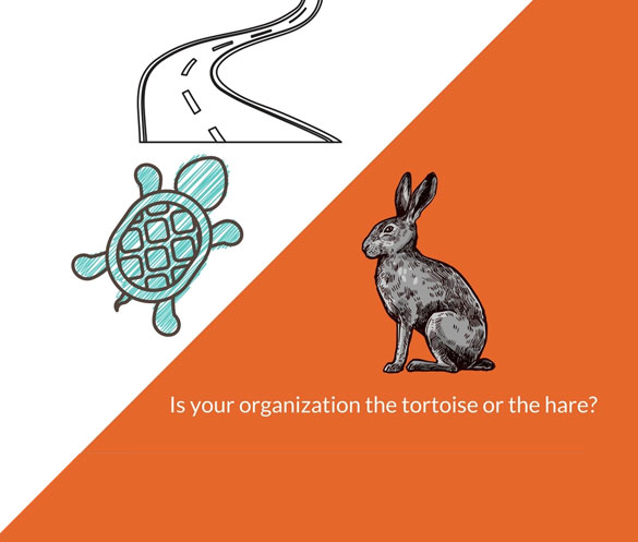 Is your organization the tortoise or the here?