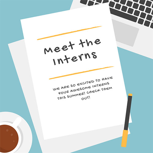 Meet the Interns