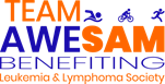 Team AweSAM